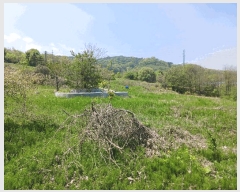  2025Ÿ��20258 �泲 û�籺 ����� ��縮 119-2      ����(��1)���