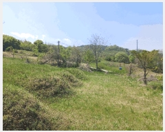  2025Ÿ��20258 �泲 û�籺 ����� ��縮 119-2      ����(��1)���