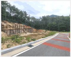  2025Ÿ��20266 �泲 ���ֽ� ������ �к��� 875      ����(����)���