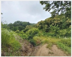  2025Ÿ��20268 �泲 ���ֽ� �켺�� ��õ�� ��81-1      ����(�Ӿ�)���