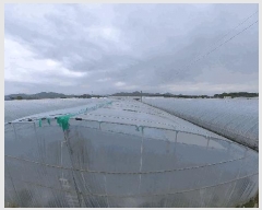  2025Ÿ��20268 �泲 ���ֽ� �켺�� ��õ�� ��81-1      ����(�Ӿ�)���