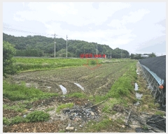  2025Ÿ��20272  ����