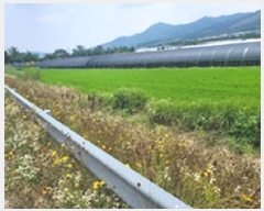  2025Ÿ��20272  ����