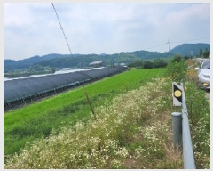  2025Ÿ��20272  ����