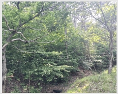  2025Ÿ��20275 �泲 ���ֽ� ���θ� �ſ��� 458-6      ����(�Ӿ�)���