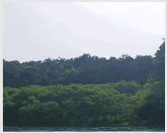  2025Ÿ��20275 �泲 ���ֽ� ���θ� �ſ��� 458-6      ����(�Ӿ�)���