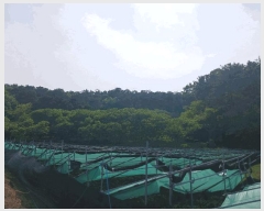  2025Ÿ��20275 �泲 ���ֽ� ���θ� �ſ��� 458-6      ����(�Ӿ�)���