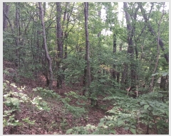  2025Ÿ��20275 �泲 ���ֽ� ���θ� �ſ��� 458-6      ����(�Ӿ�)���