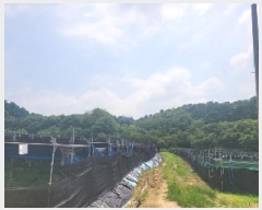  2025Ÿ��20275 �泲 ���ֽ� ���θ� �ſ��� 458-6      ����(�Ӿ�)���