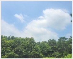  2025Ÿ��20275 �泲 ���ֽ� ���θ� �ſ��� 458-6      ����(�Ӿ�)���