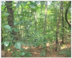  2025Ÿ��20275 �泲 ���ֽ� ���θ� �ſ��� 458-6      ����(�Ӿ�)���