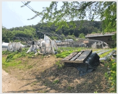  2025Ÿ��20277  �����