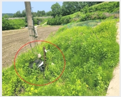  2025Ÿ��20277  �����