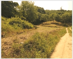  2025Ÿ��20277  �����