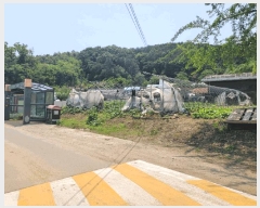  2025Ÿ��20277  �����