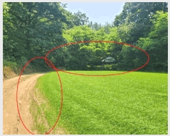  2025Ÿ��20277  �����