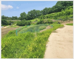  2025Ÿ��20277  �����