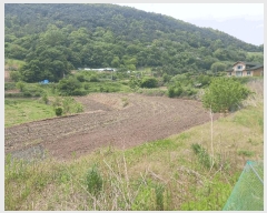  2025Ÿ��20282 �泲 ���ֽ� ������ ������ 106      ����(��)���