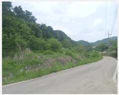  2025Ÿ��20282 �泲 ���ֽ� ������ ������ 106      ����(��)���