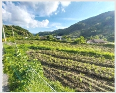  2025Ÿ��20282 �泲 ���ֽ� ������ ���踮 293      ����(��1)���