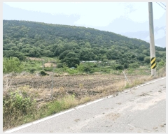  2025Ÿ��20282 �泲 ���ֽ� ������ ������ 106      ����(��)���