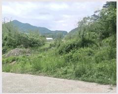  2025Ÿ��20282 �泲 ���ֽ� ������ ������ 106      ����(��)���