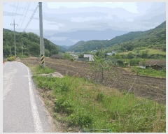  2025Ÿ��20282 �泲 ���ֽ� ������ ������ 106      ����(��)���