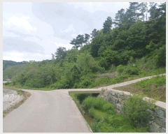  2025Ÿ��20282 �泲 ���ֽ� ������ ������ 106      ����(��)���