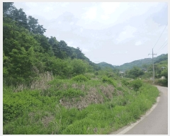  2025Ÿ��20282 �泲 ���ֽ� ������ ������ 106      ����(��)���