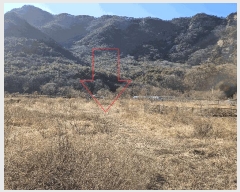  2025Ÿ��20288 �泲 ���ֽ� ������ ��õ�� 291      ����(��1)���