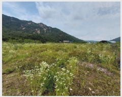  2025Ÿ��20288 �泲 ���ֽ� ������ ��õ�� 291      ����(��1)���