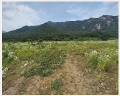  2025Ÿ��20288 �泲 ���ֽ� ������ ��õ�� 291      ����(��1)���