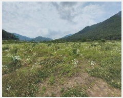  2025Ÿ��20288 �泲 ���ֽ� ������ ��õ�� 291      ����(��1)���