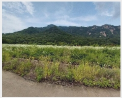  2025Ÿ��20288 �泲 ���ֽ� ������ ��õ�� 291      ����(��1)���