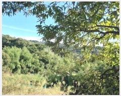  2025Ÿ��20424  ���������