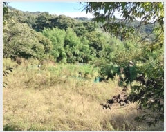  2025Ÿ��20424  ���������