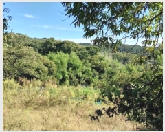  2025Ÿ��20424  ���������