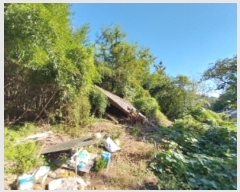  2025Ÿ��20424  ���������