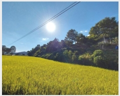  2025Ÿ��20424  ���������