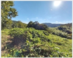  2025Ÿ��20424  ���������