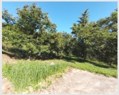  2025Ÿ��20424  ���������