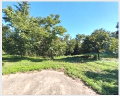  2025Ÿ��20424  ���������