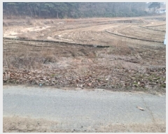  2025Ÿ94 泲  ۾  183      ()