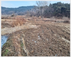  2025Ÿ94 泲  ۾  183      ()