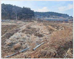  2025Ÿ94 泲  ۾  183      ()