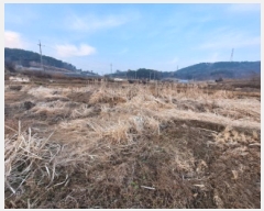  2025Ÿ94 泲  ۾  183      ()