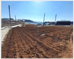  2025Ÿ��193 �泲 ������ �۾��� ���븮 47-2      ����(��1)���