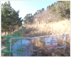  2025Ÿ308 泲 ¾ȱ  ׸ 2262-5      ()