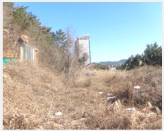  2025Ÿ308 泲 ¾ȱ  ׸ 2262-5      ()