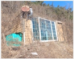  2025Ÿ308 泲 ¾ȱ  ׸ 2262-5      ()